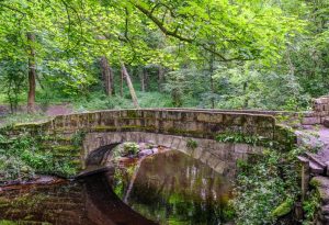 Rivelin Valley Nature Trail