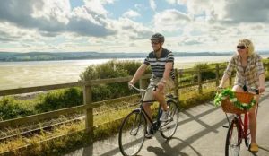 Explore the Exe Estuary Trail